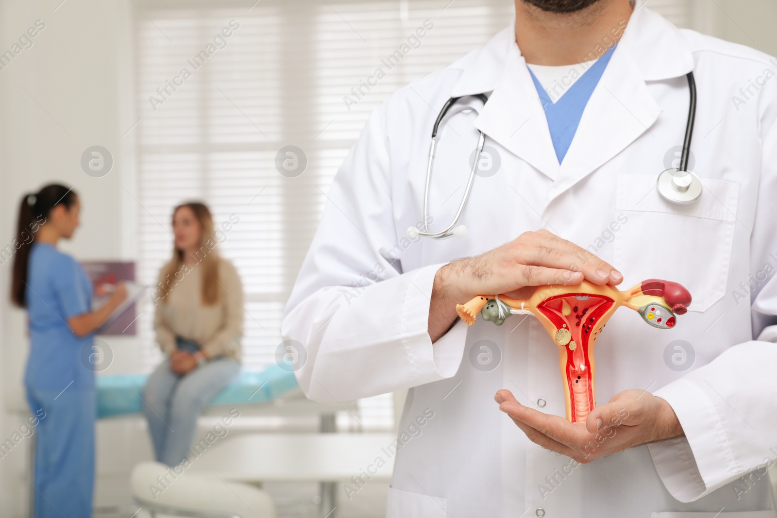 Photo of Gynecologist demonstrating model of female reproductive system in clinic, closeup