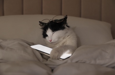 Photo of Cute cat with glasses and smartphone sleeping in bed at home