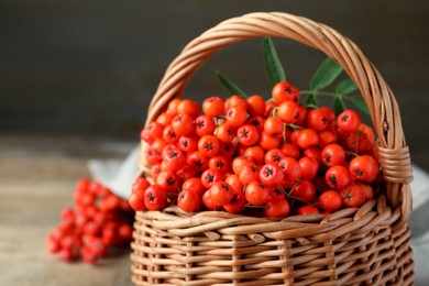 Photo of Fresh ripe rowan berries with green leaf in wicker basket, closeup