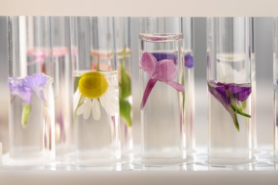 Photo of Test tubes with different flowers, closeup. Essential oil extraction