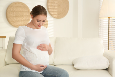 Young pregnant woman on sofa at home. Space for text