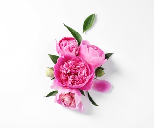 Photo of Beautiful peony flowers on white background, top view