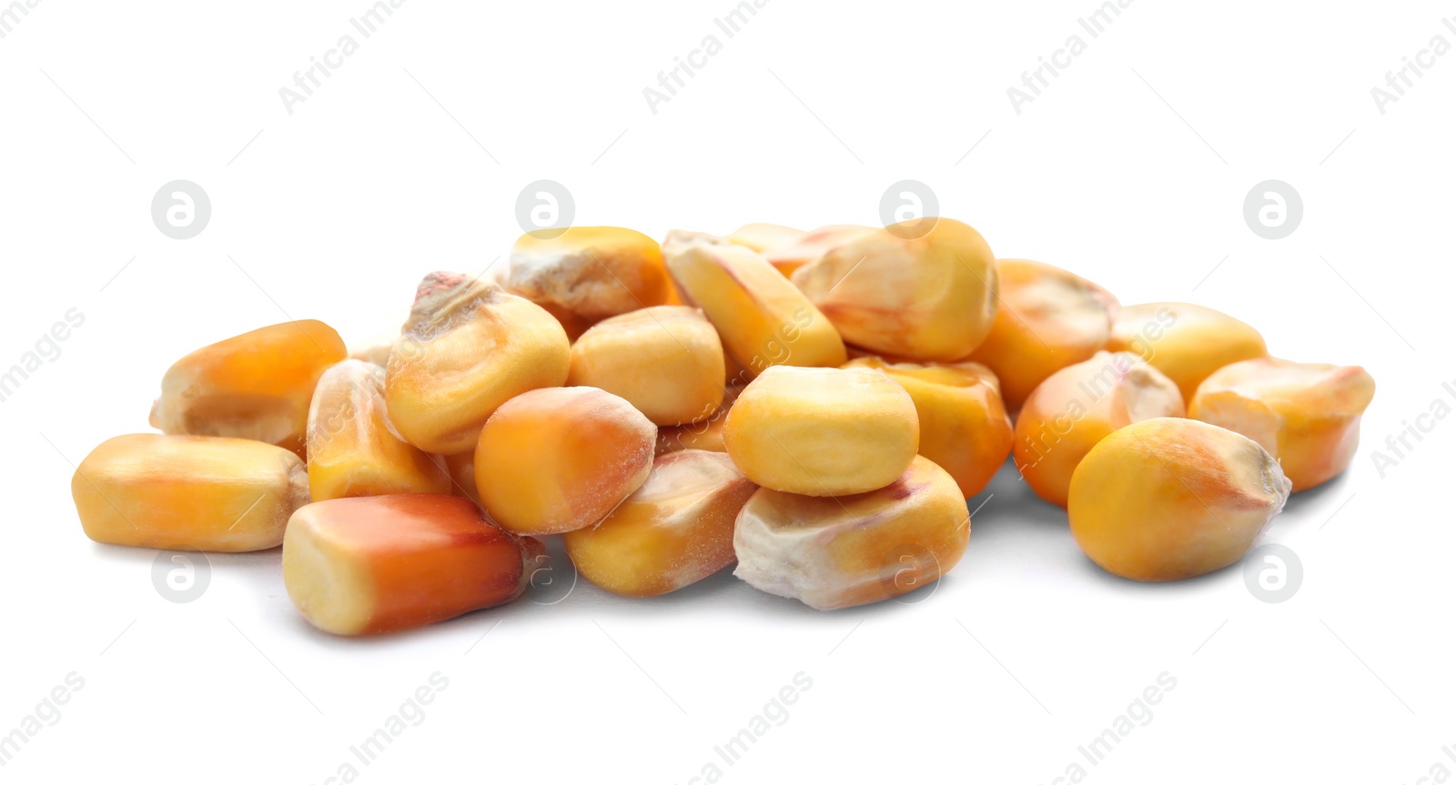 Photo of Dried sweet corn kernels on white background