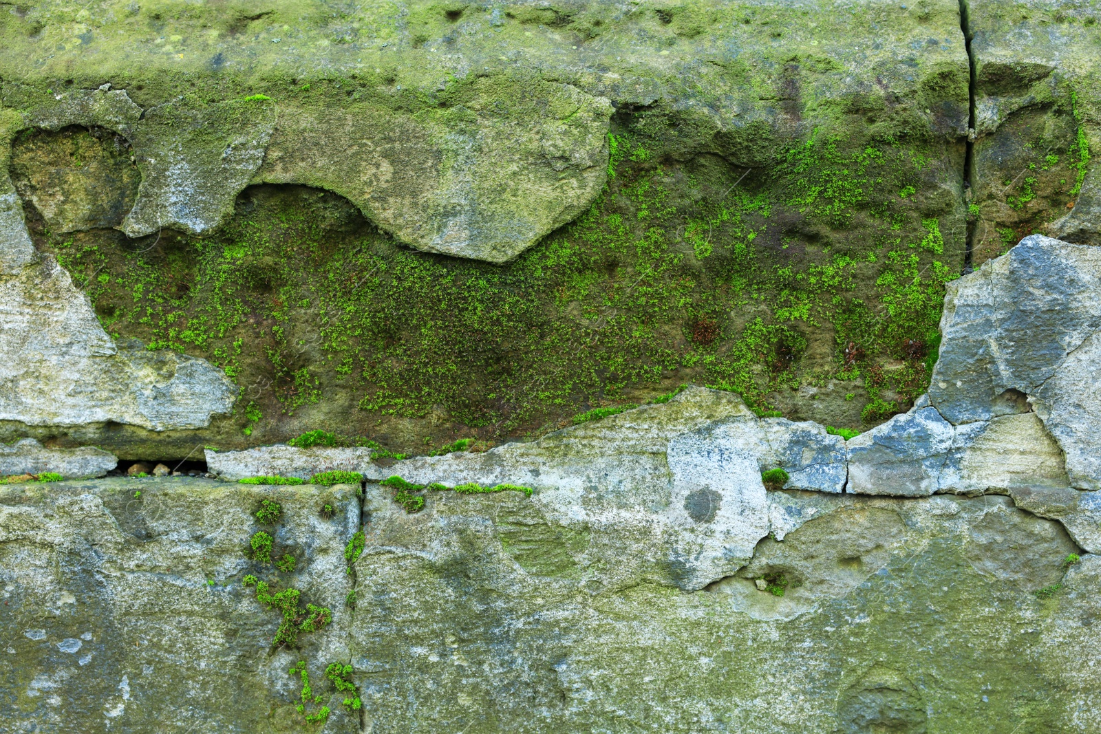 Photo of Stone wall with green moss as background, closeup