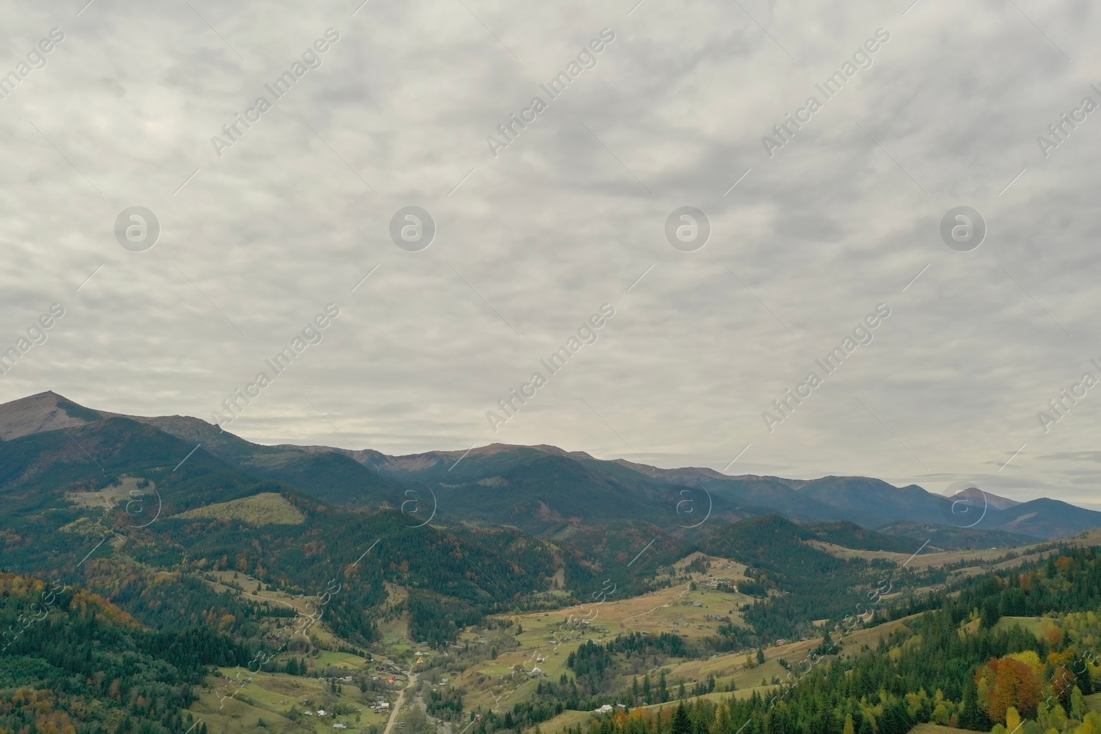 Photo of Aerial view of beautiful mountain forest on autumn day