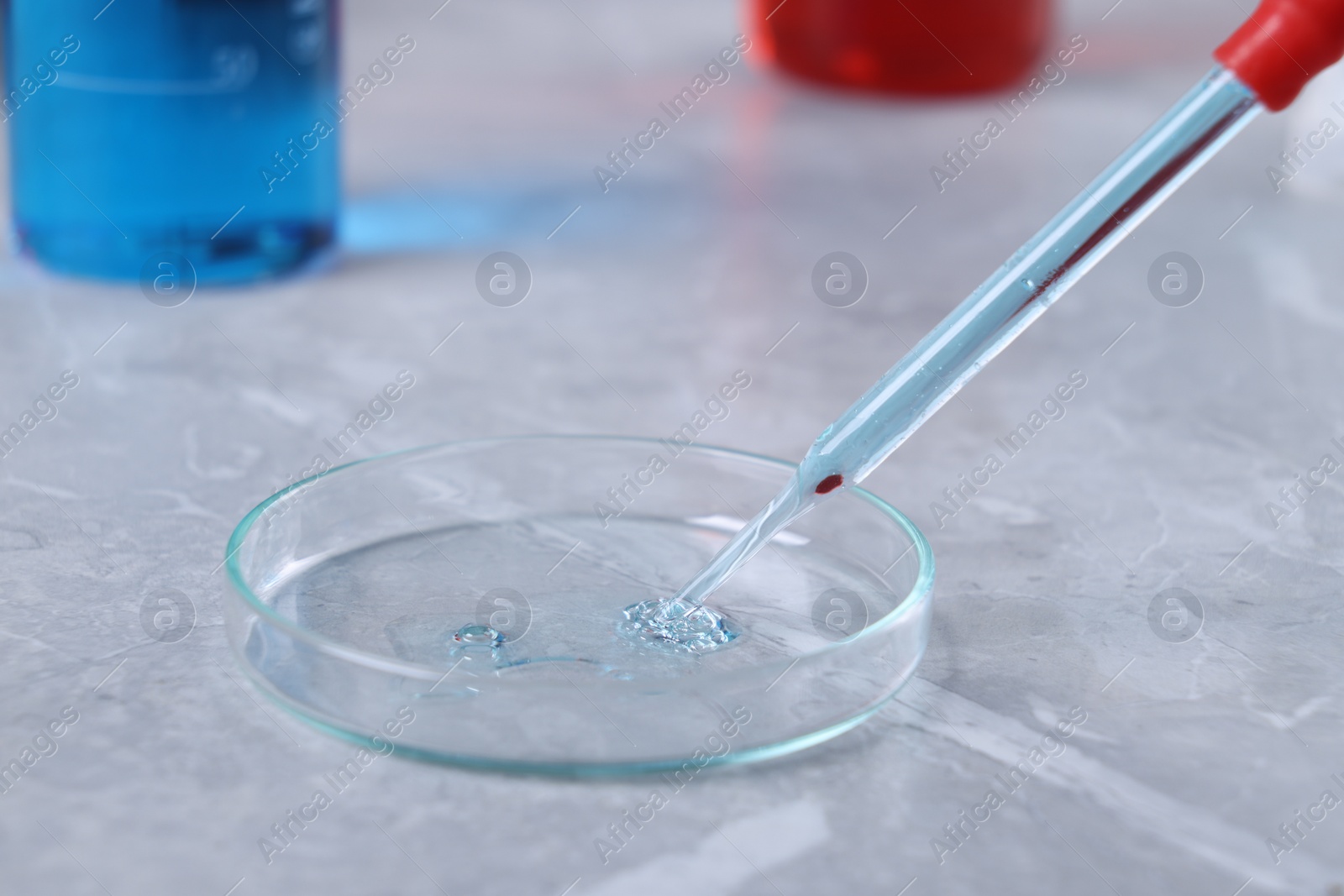 Photo of Glass pipette and petri dish with liquid on grey marble table, closeup