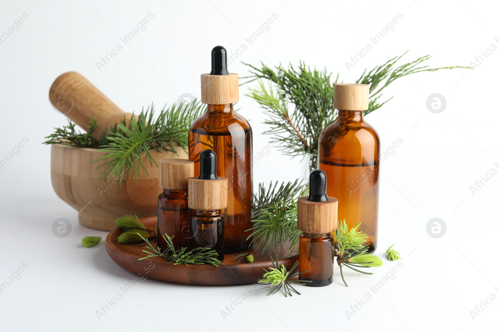 Photo of Aromatherapy. Different essential oils, fir twigs, mortar and pestle on white background