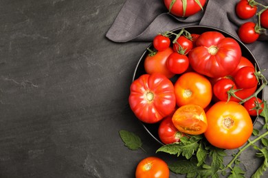 Photo of Many different ripe tomatoes with leaves on black table, flat lay. Space for text