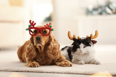 Photo of Adorable Cocker Spaniel dog with cat in party glasses and reindeer headband on blurred background