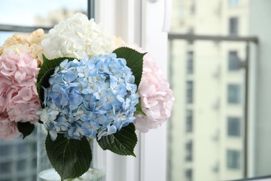 Photo of Beautiful hydrangea flowers in vase near window, closeup. Space for text