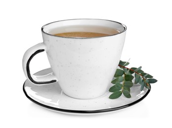 Photo of Cup of green tea with eucalyptus leaves on white background