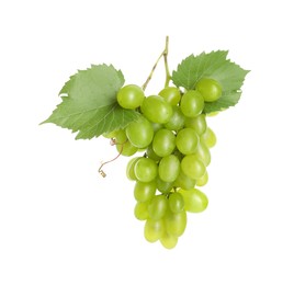 Fresh ripe grapes and leaves isolated on white