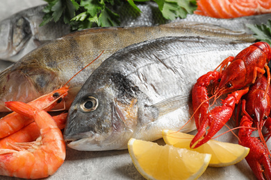 Photo of Fresh fish and different seafood on light grey table, closeup