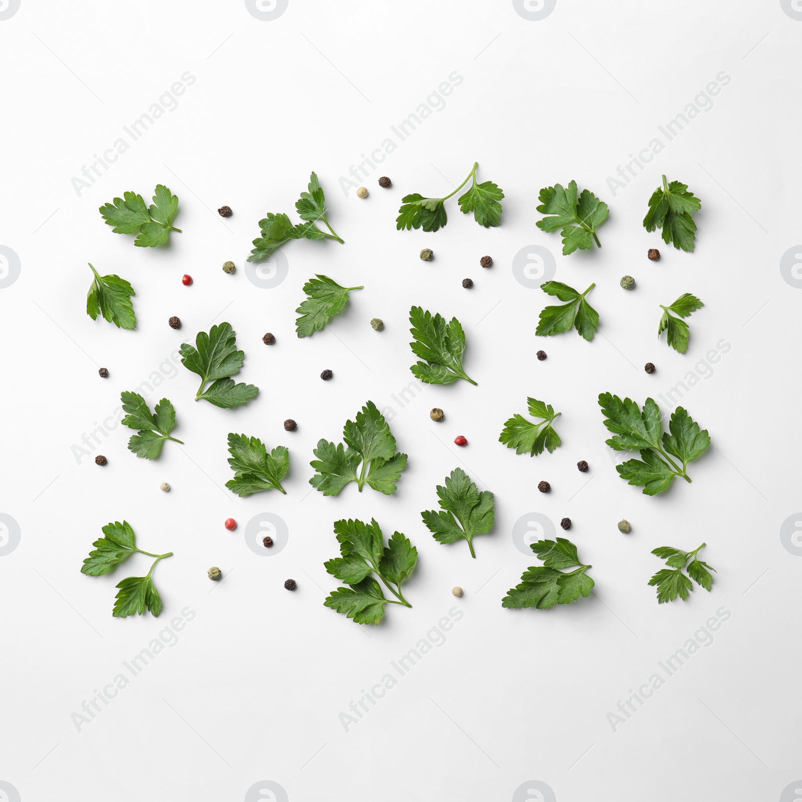 Photo of Flat lay composition with green parsley and pepper on white background