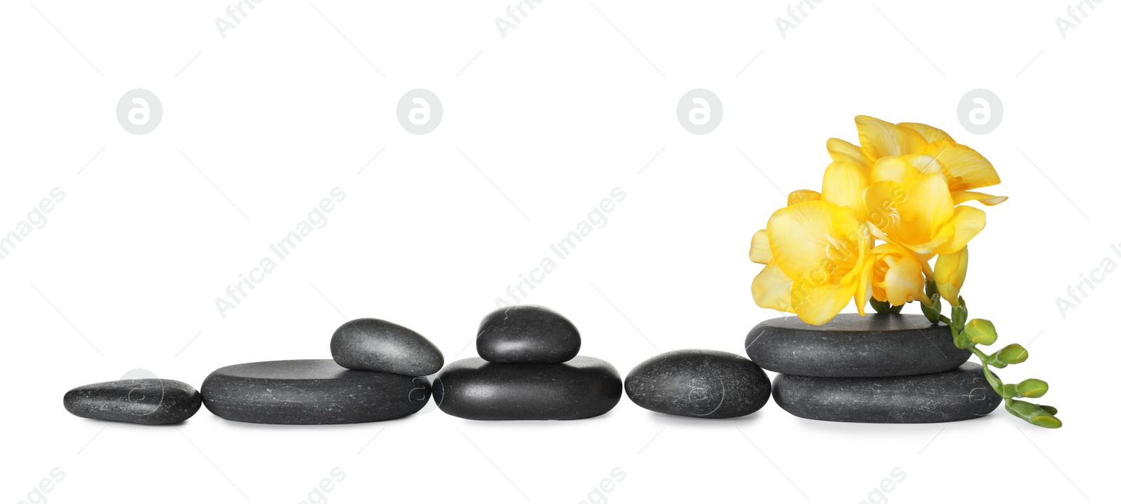 Photo of Grey spa stones and fresh flowers isolated on white