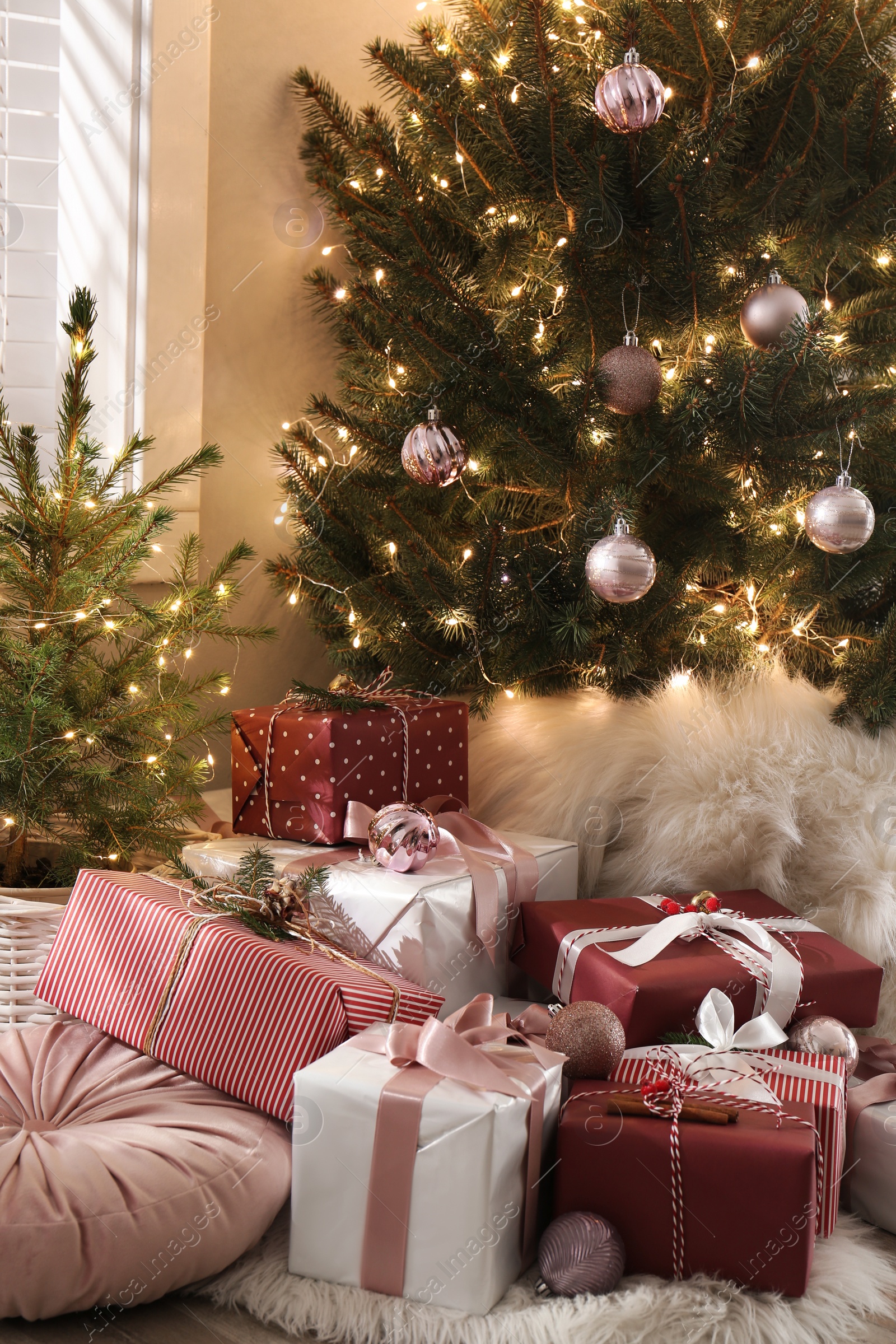 Photo of Gift boxes under small and big Christmas trees indoors