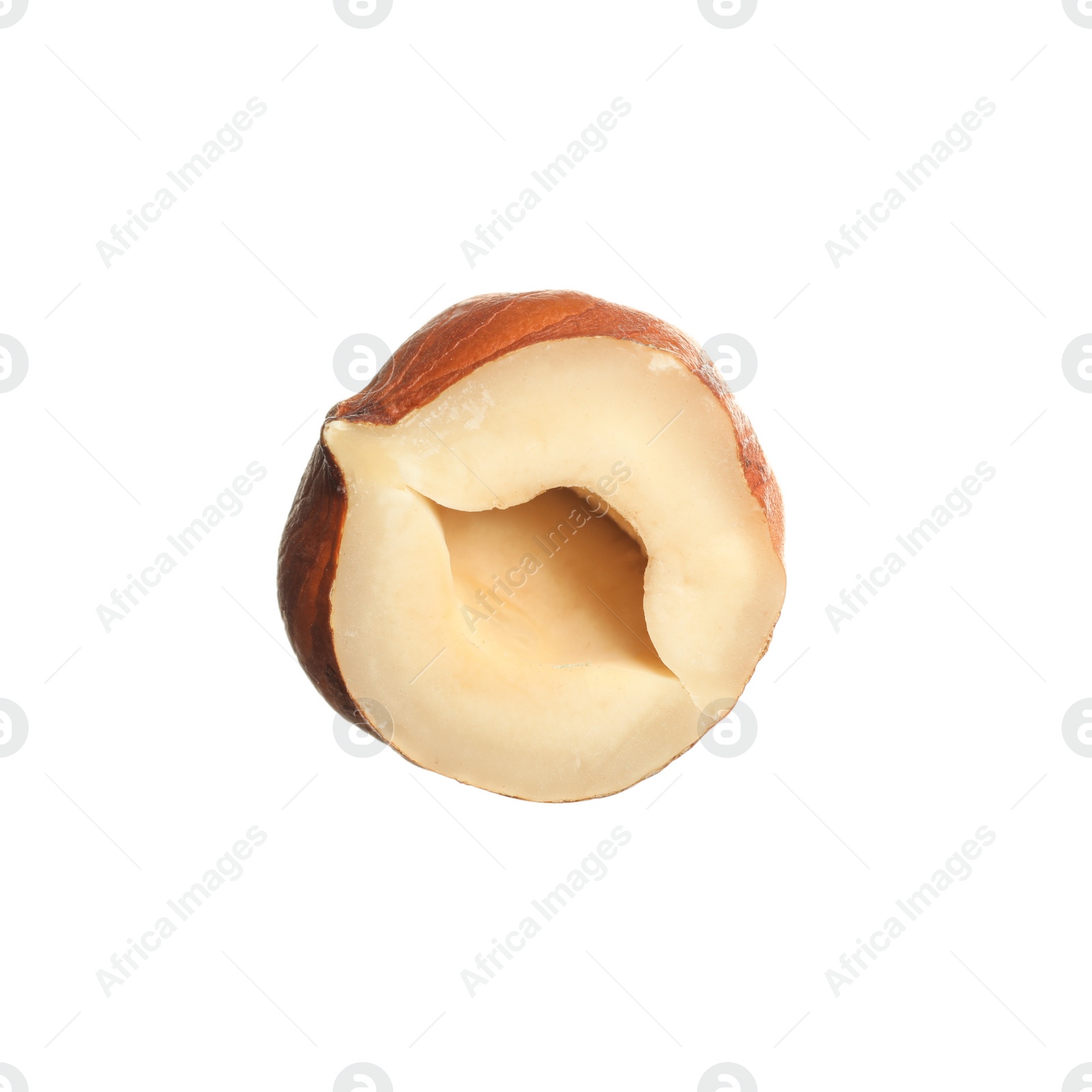 Photo of Half of tasty hazelnut isolated on white