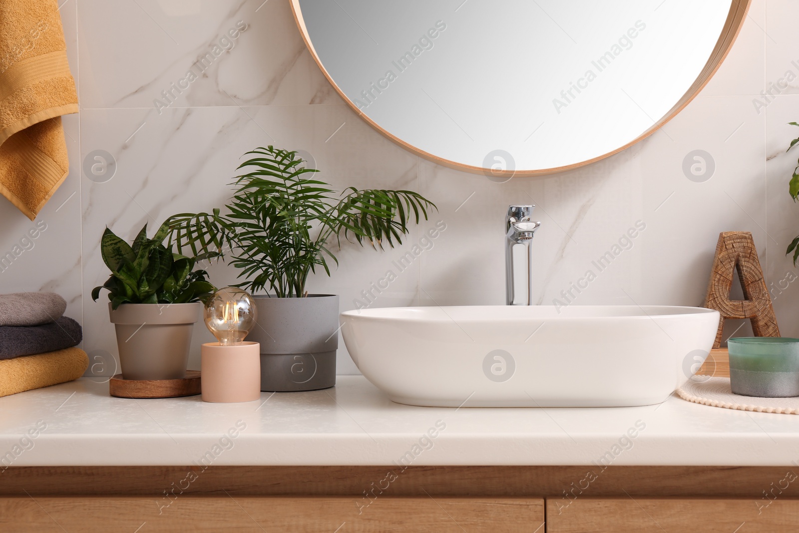 Photo of Vessel sink and different houseplants on countertop in bathroom