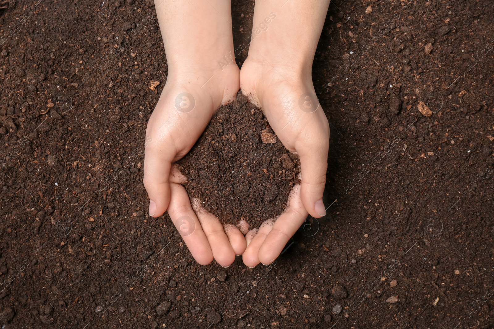 Photo of Woman holding pile of soil above ground, top view