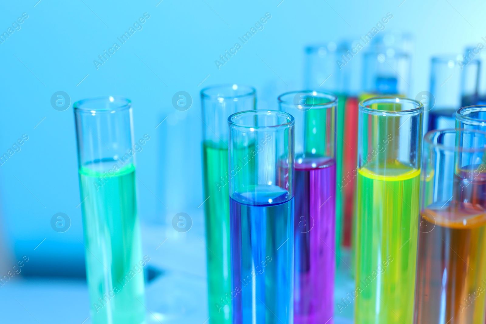 Photo of Many test tubes with colorful liquids on blurred background, closeup