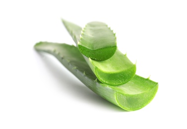 Photo of Fresh aloe vera leaves on white background