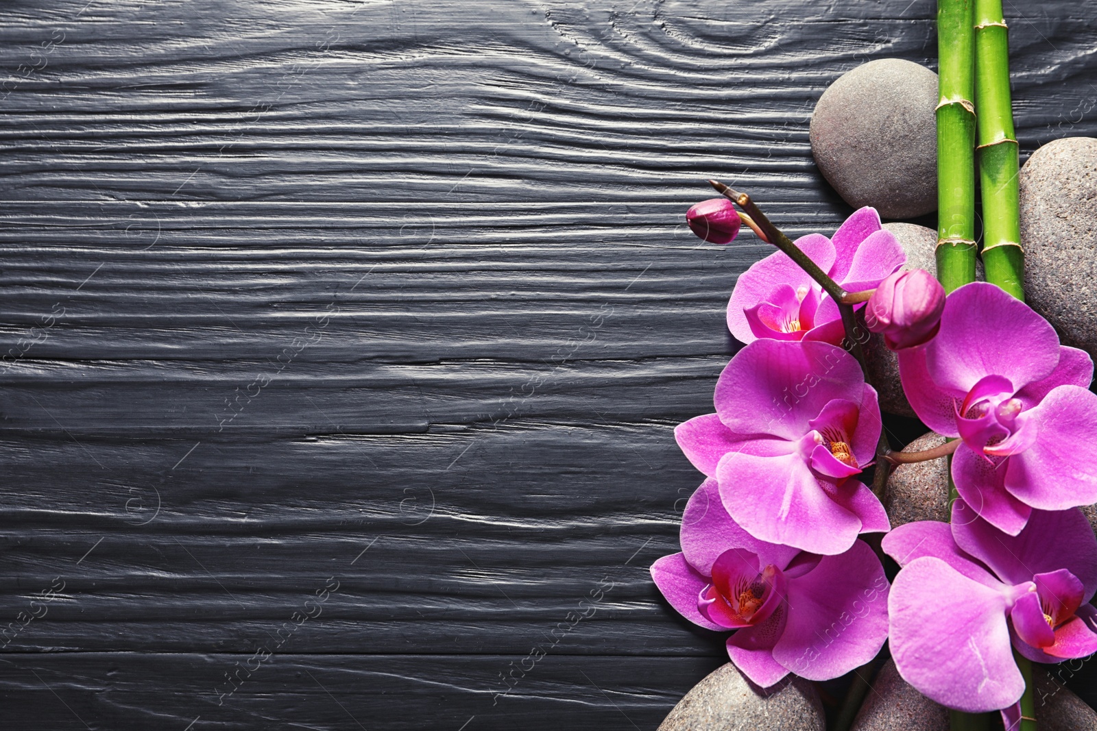 Photo of Spa stones with orchid flowers and bamboo on dark wooden background, top view. Space for text