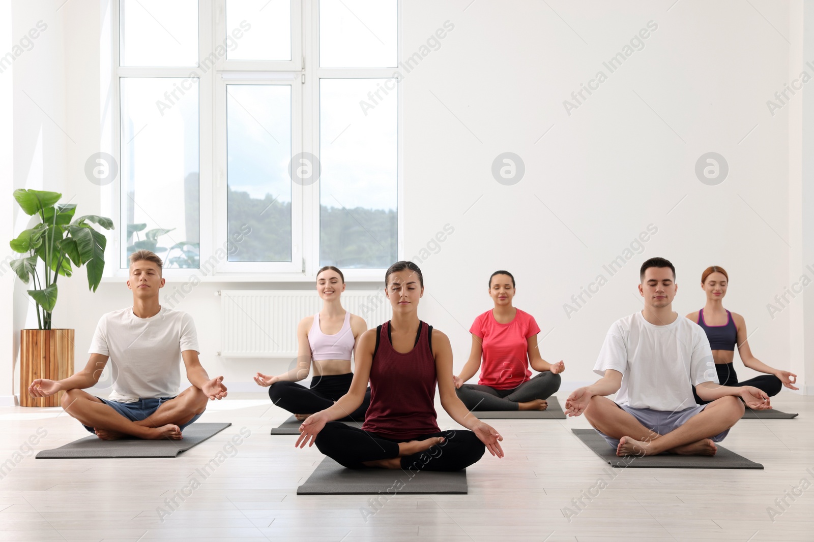 Photo of Group of people practicing yoga on mats indoors, space for text