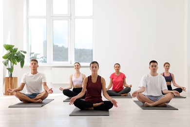 Group of people practicing yoga on mats indoors, space for text