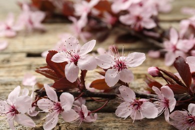 Photo of Spring branch with beautiful blossoms and leaves on wooden table, closeup