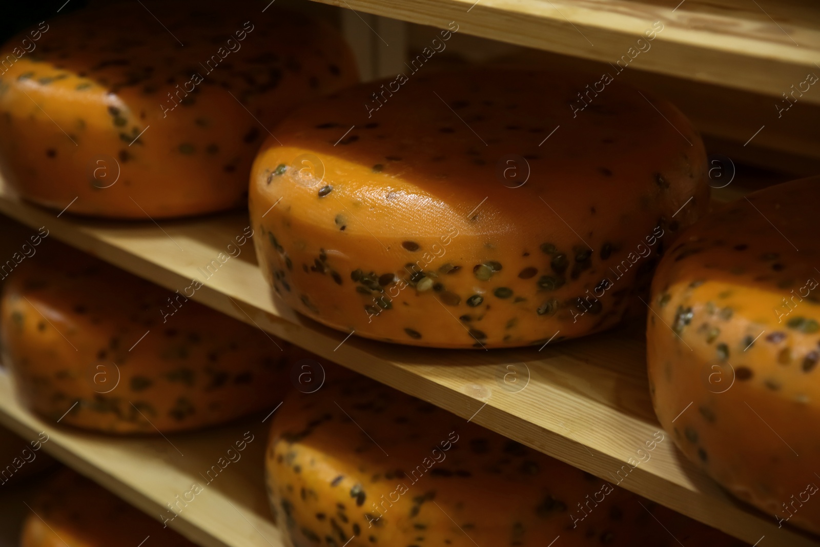 Photo of Fresh cheese on rack in factory warehouse, closeup