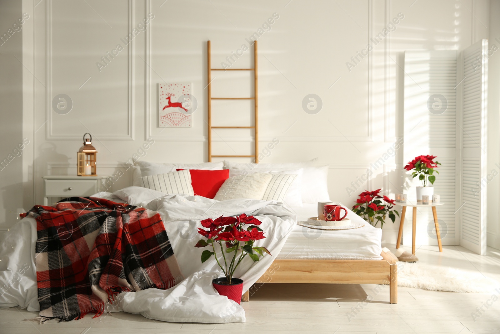 Photo of Christmas bedroom interior with red woolen blanket and poinsettias