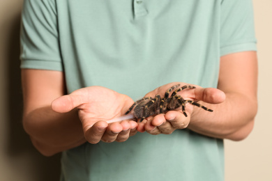 Photo of Man holding striped knee tarantula on beige background, closeup