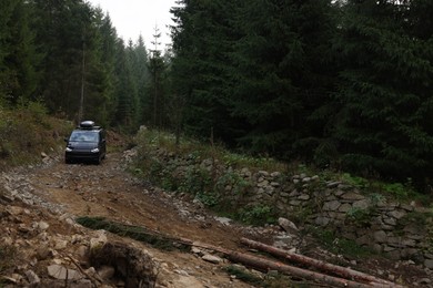 Photo of Modern black van on pathway in forest