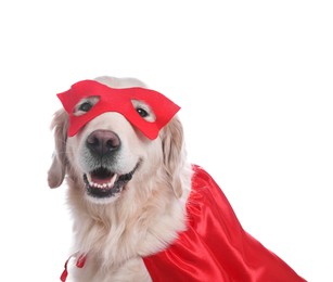 Photo of Adorable dog in red superhero cape and mask on white background