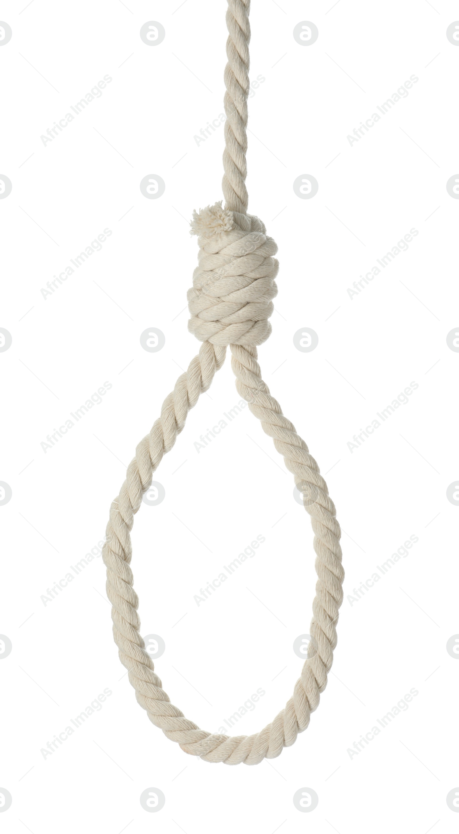Photo of Rope noose with knot isolated on white