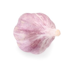 Head of fresh garlic isolated on white, top view