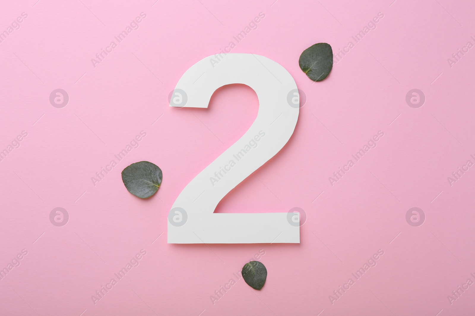 Photo of Paper number 2 and eucalyptus leaves on pink background, flat lay