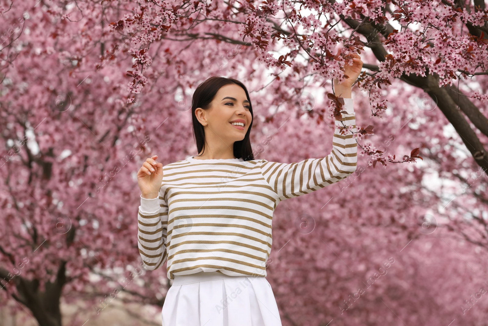 Photo of Pretty young woman in park with blooming trees. Spring look