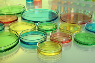 Photo of Petri dishes with different colorful samples on table