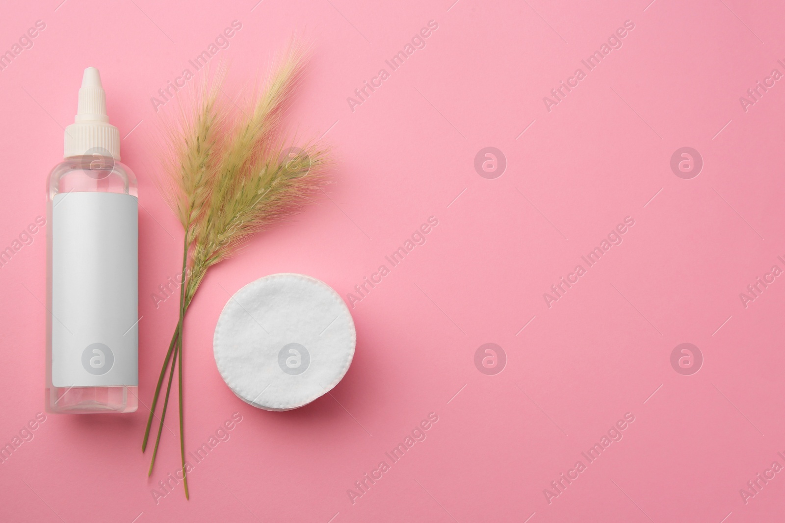 Photo of Bottle of makeup remover, cotton pads and spikelets on pink background, flat lay. Space for text