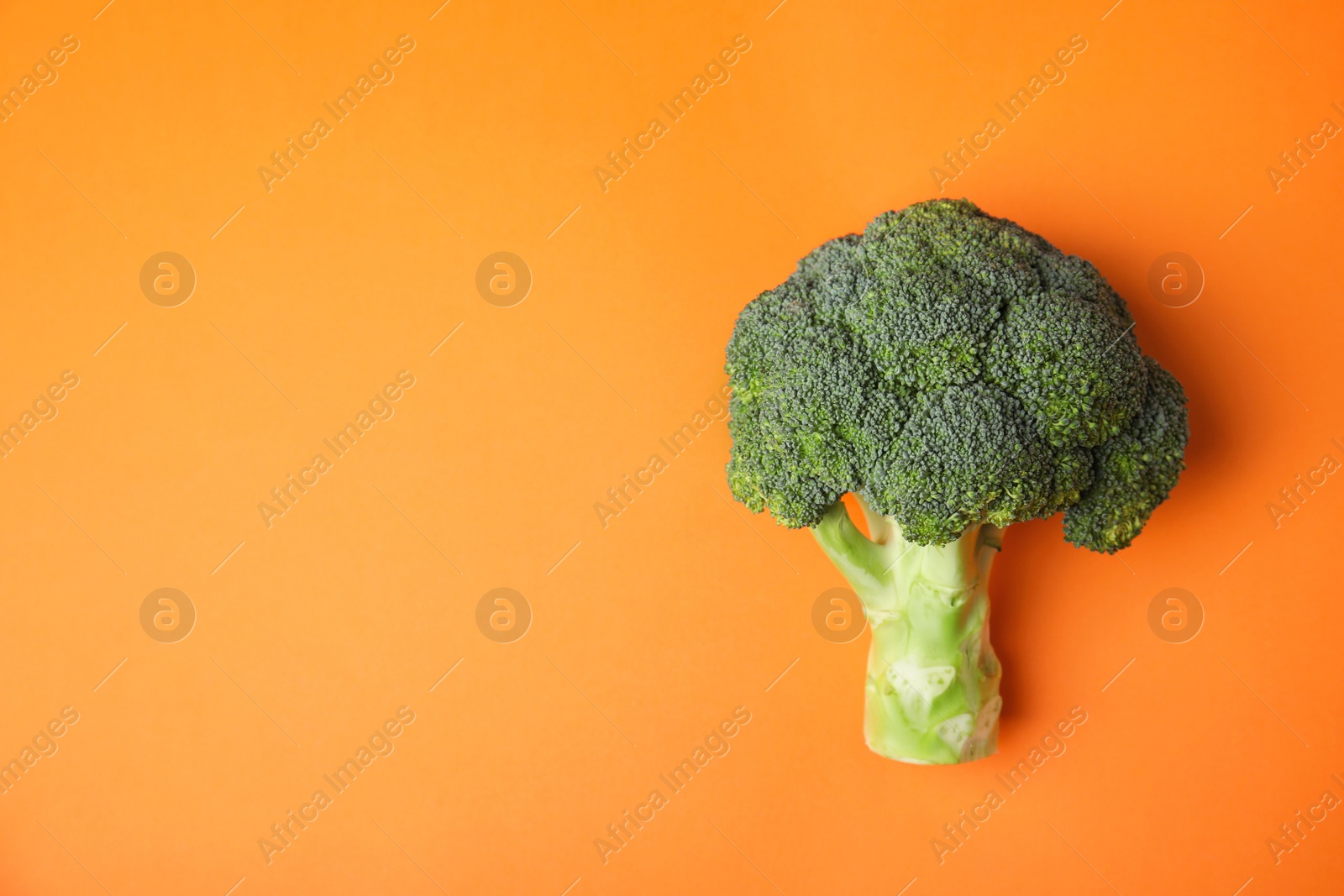 Photo of Fresh green broccoli on color background, top view. Space for text