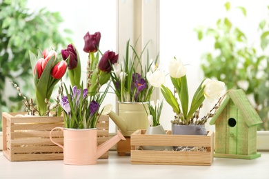 Photo of Different beautiful spring flowers with birdhouse on window sill
