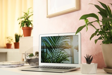 Photo of Houseplants and laptop on table in office interior