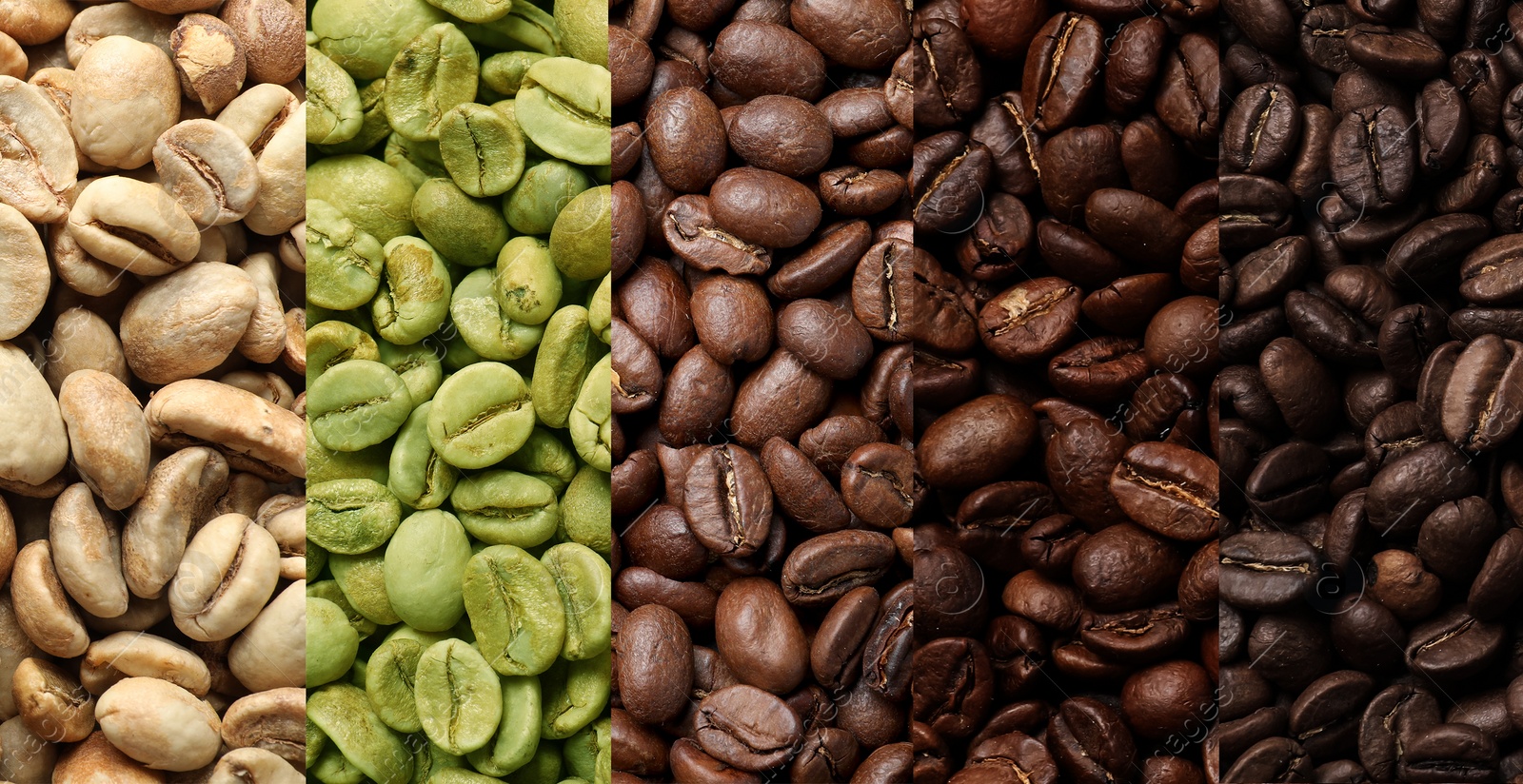 Image of Stages of roasting coffee beans, collage. Banner design