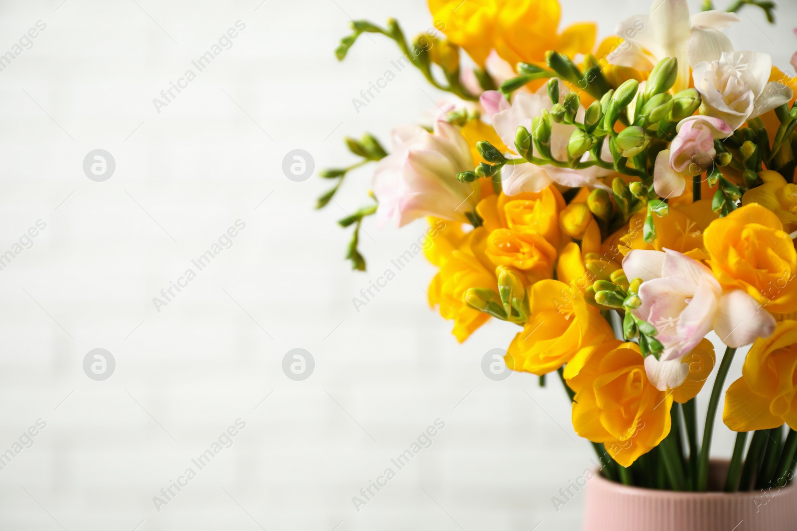 Photo of Beautiful blooming freesias in vase against white brick wall. Space for text