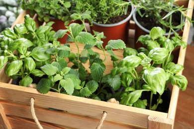 Photo of Different aromatic potted herbs in wooden crate on table, closeup