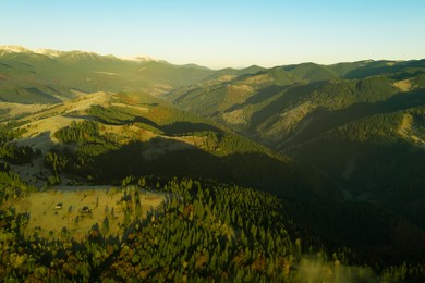 Image of Beautiful landscape with forest in mountains on sunny day. Drone photography