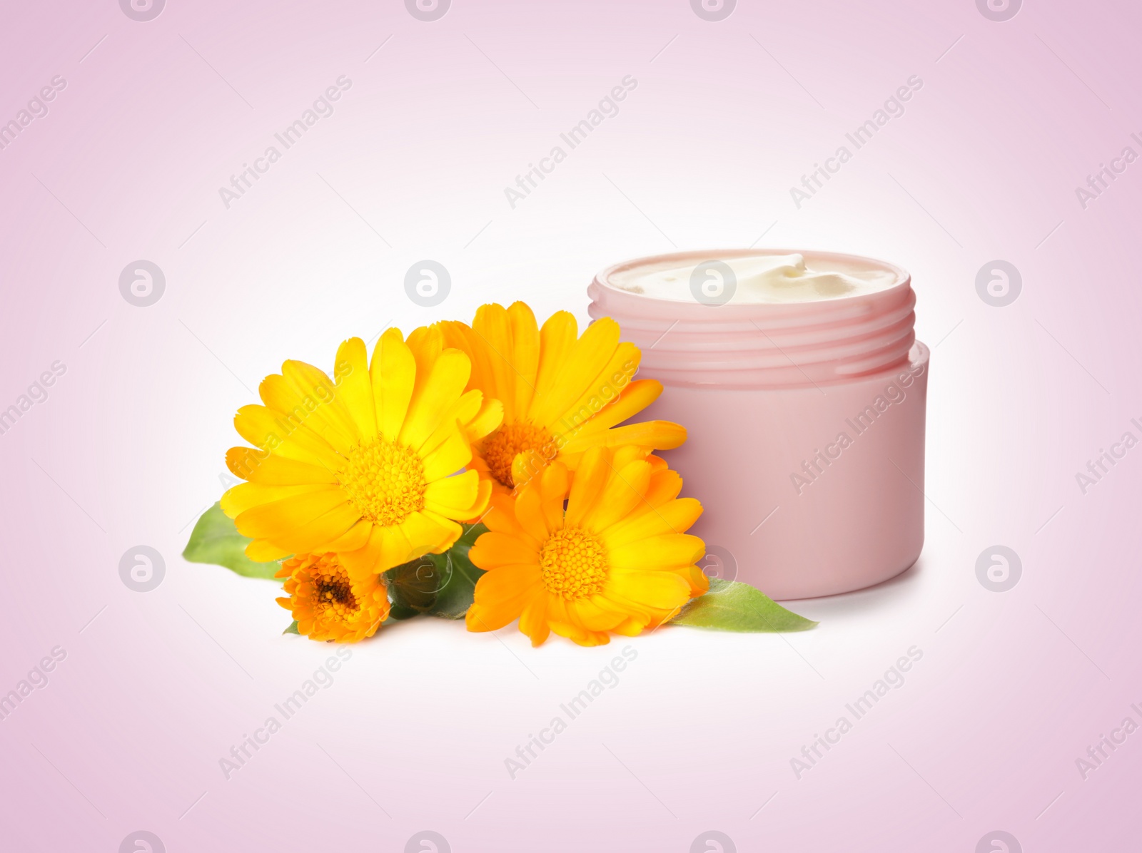Image of Body cream with calendula extract on pink background. Natural based cosmetic product