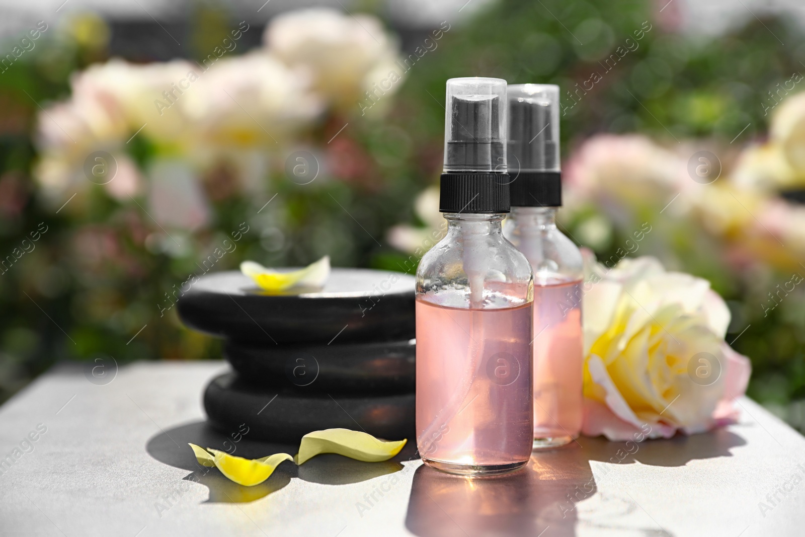 Photo of Spa stones, bottles of toner with essential oil and rose on table in blooming garden. Harmony and zen