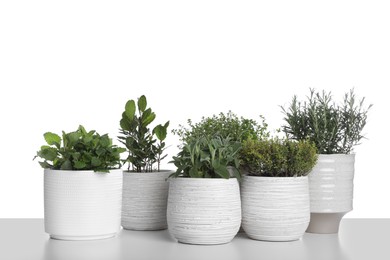Photo of Pots with thyme, bay, sage, mint and rosemary on white background